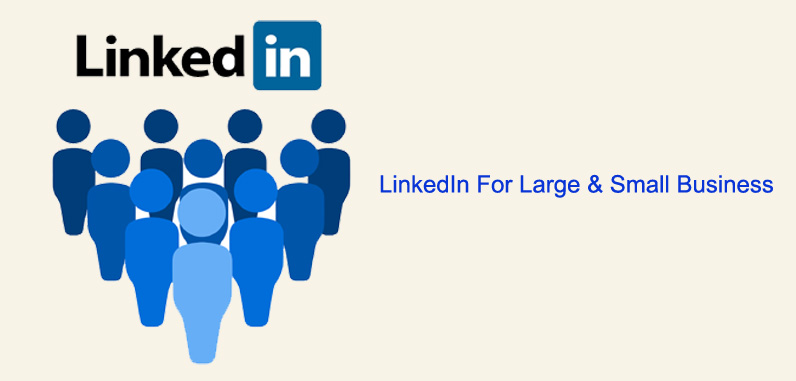 LinkedIn For Large & Small Business
